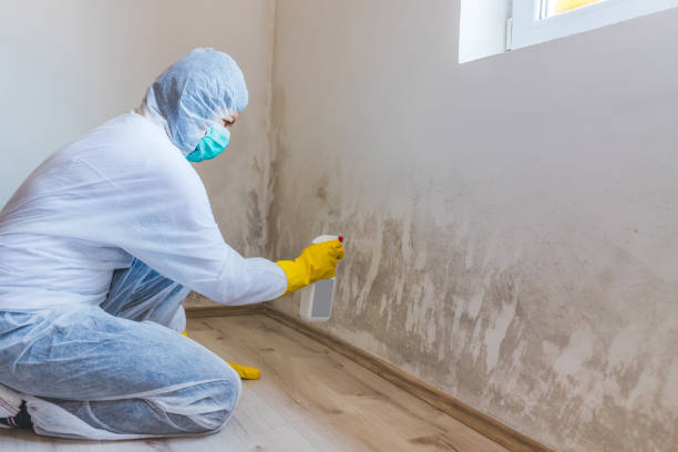 Hvac And Air Duct Mold Remediation inspection of HVAC system in Drayden
